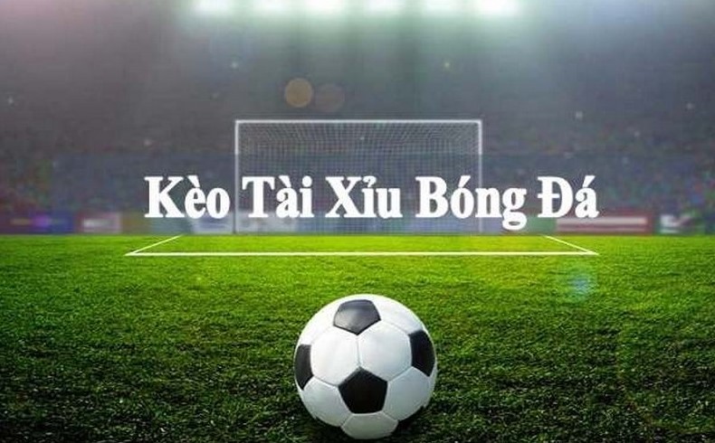 Một số mẹo hay mà bạn có thể áp dụng khi chơi cược tài xỉu